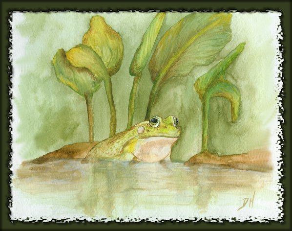 Bullfrog in a Pond